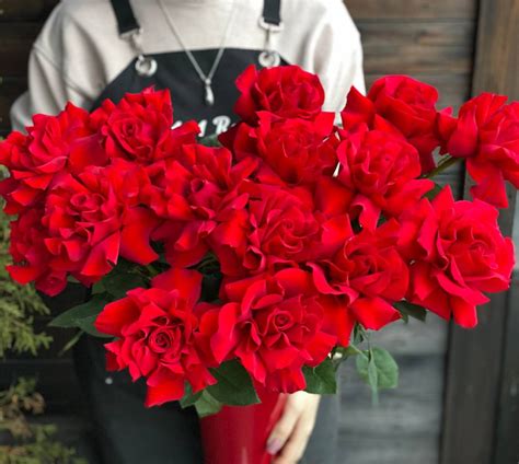 Роза Французская 60 см