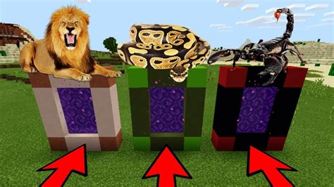 MCPE DO NOT CHOOSE THE WRONG PORTAL Lion Anaconda Scorpion YouTube