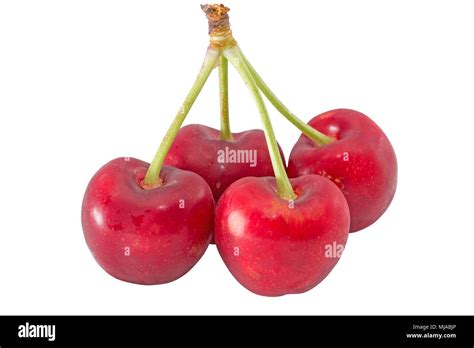 Cherries With Stem Hi Res Stock Photography And Images Alamy