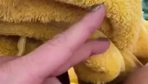 Exibidas Safadas Free Solo Porn Video F Xhamster