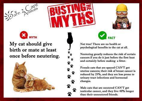 Top 10 Furarchiver Myths Debunked! - 18ue1el