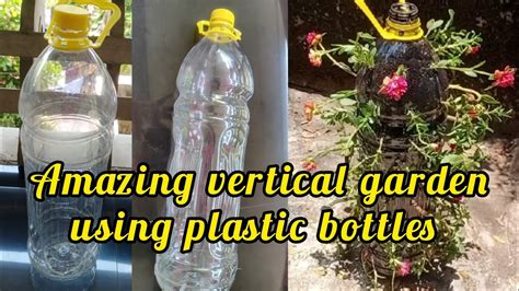 Amazing Vertical Garden Using Plastic Bottles Plastic Bottle Portulaca