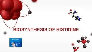 Biosynthesis of histidine | PPT