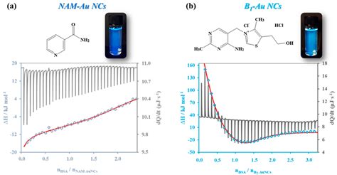 Antioxidants | Free Full-Text | Promising Bioactivity of Vitamin B1-Au ...