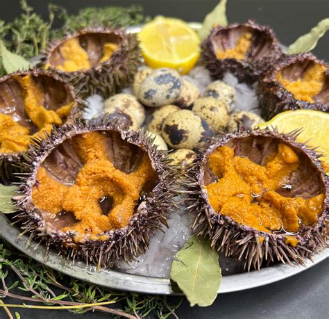 Морской еж живой – РакБери – Раки, Устрицы, Крабы, Ежи, Креветки Икра