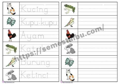 lembar kerja anak tk menulis kata tracing writing worksheet
