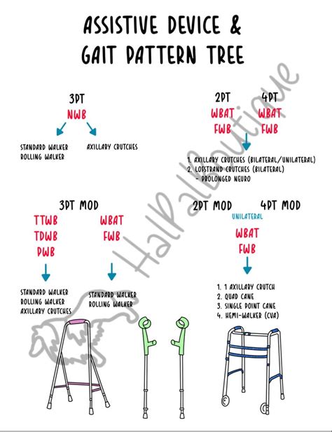 Gait Patterns, Assistive Device, Weight Bearing Status, Study Guide ...