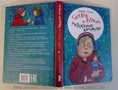 Обзор детских книг: Светлик Тучкин и украденные каникулы, Виктория Ледерман