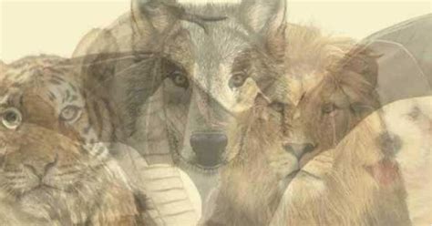 Кого вы увидели первым? — Teletype