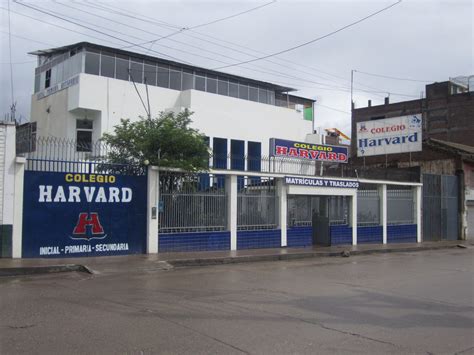 Contacto Colegio Harvard