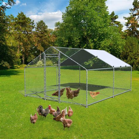 hen run ideas 4