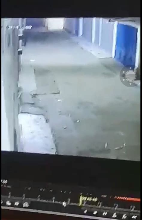 Exposed Camera Caught Pussy Cat And A Man Disappear Video Crime Nigeria