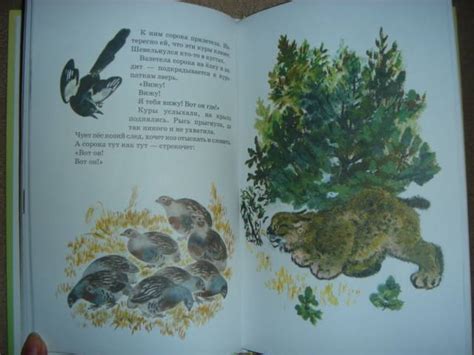 Книга: Тюпа, Томка и сорока - Евгений Чарушин. Купить книгу, читать ...