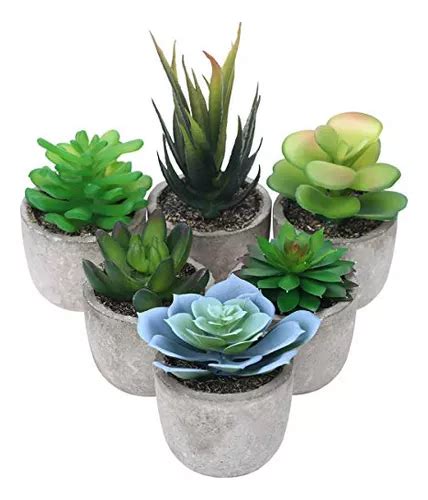 6 Paquetes De Plantas Suculentas Artificiales En Maceta Envío gratis