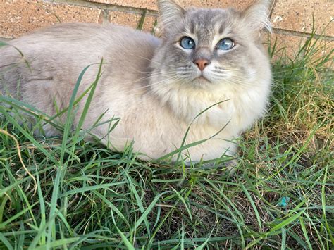 Both my daughter and I have realised we are allergic to our floof boy