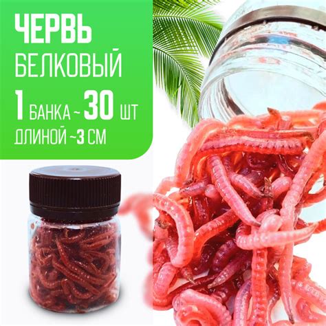 Искусственный червь для рыбалки 30 грамм - купить по доступной цене в ...