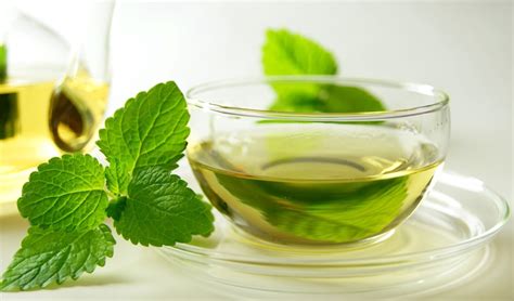 Мятная настойка на лимоне