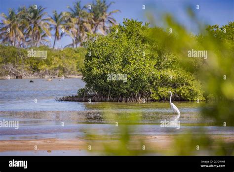 France Lesser Antilles French West Indies Saint Martin Le Galion