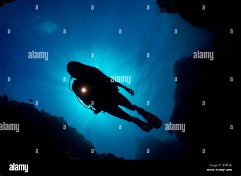 Unterwasser Bikini Mädchen Taucher Stockfotos und bilder Kaufen Alamy