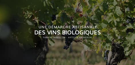 Domaine Viticole Dans Le Sud Ouest V Bois Beaulieu