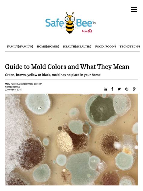 Guide To Mold Colors and What They Mean | PDF | Mold | Allergy