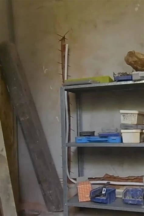 Sperm Fun On The Construction Side Gay Amateur Porn Feat Claus Noord