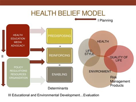 Health Belief Model Explanation