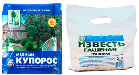 Как приготовить бордосскую жидкость: 2 способа | Дача