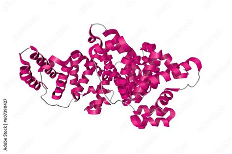 Human serum albumin complexed with hexadecanoic acid (palmitic acid ...