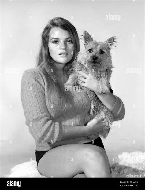 Dana Gillespie Hi Res Stock Photography And Images Alamy