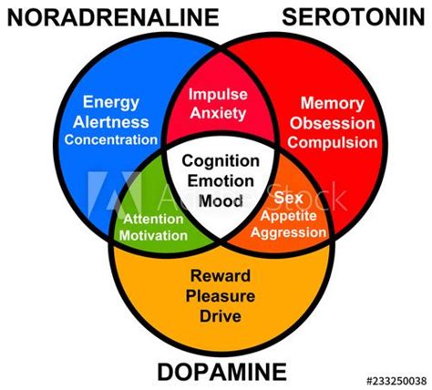 understanding hormone functions