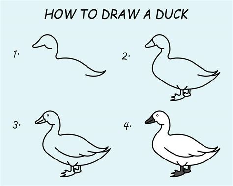 step  step  draw  duck drawing tutorial  duck drawing lesson