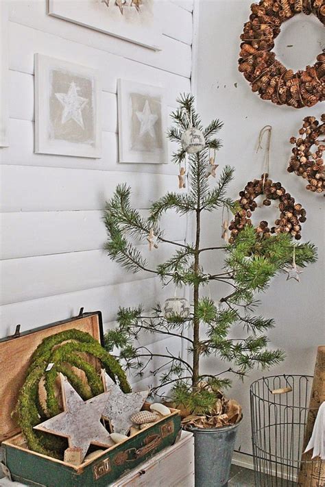 Мох кристмас - фото и картинки: 65 штук