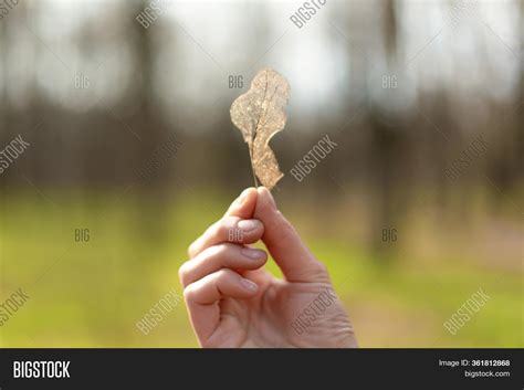 Girl Holds Her Hand Image And Photo Free Trial Bigstock