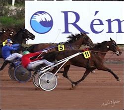 Grand Critérium de Vitesse Nice Côte dAzur à lHippodrome de Cagnes