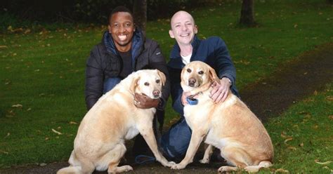 Being Gay Foster Parents You Just Need To Be Good Enough The Irish Times