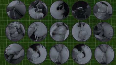 Black And White Porn Art Pack By Silbra Objects Loverslab