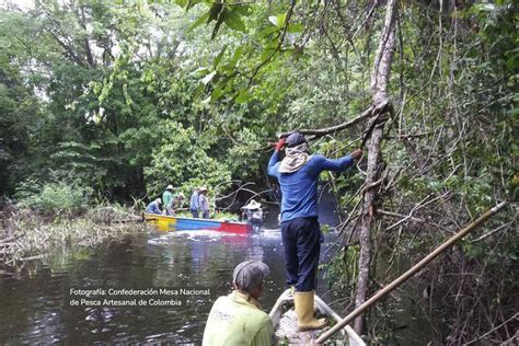 Al parecer no habrá pago de seguro económico a los pescadores artesanales durante esta veda ...