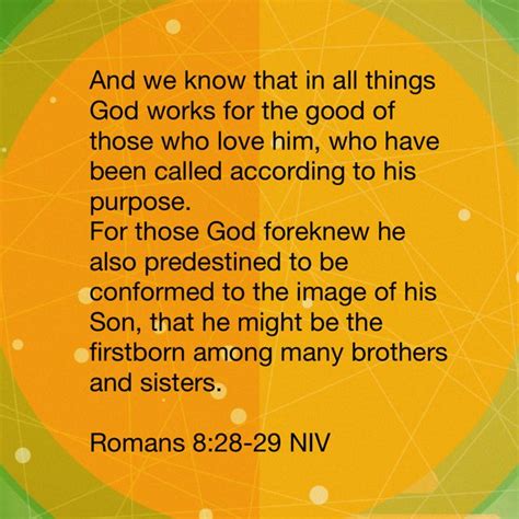 An Orange And Green Background With The Words Romans 8 29 29 Niv