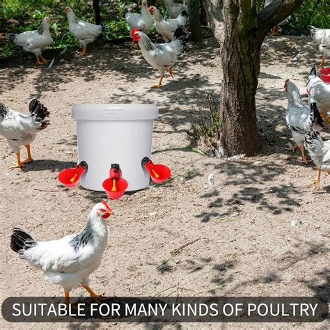 chicken water nipples doublewood chick feeder waterer combo