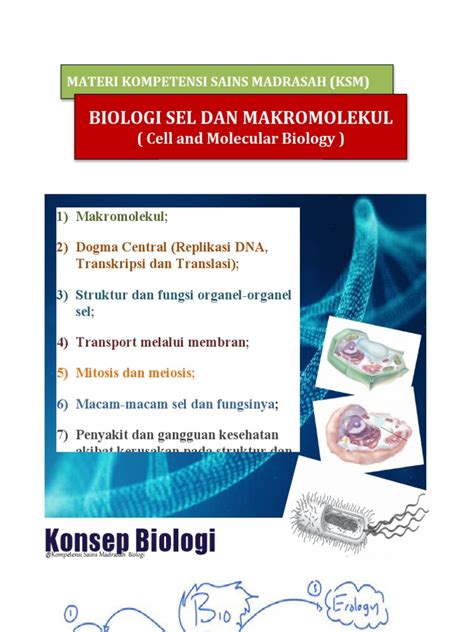 Modul 1 Biologi Sel Dan Molekuler Cell And Molecular Biology Pdf