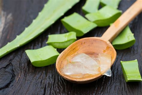 Begini Cara Menggunakan Lidah Buaya Untuk Rambut Majalahteras