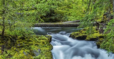 Explore Whitehorse Falls Idleyld Park Oregon