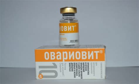 Овариовит для собак: инструкция по применению для собак в ветеринарии