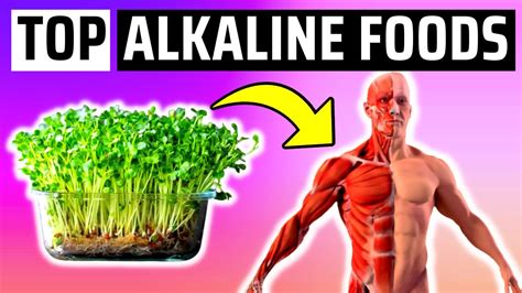 5 Alkaline Foods You Should Eat Every Day Youtube