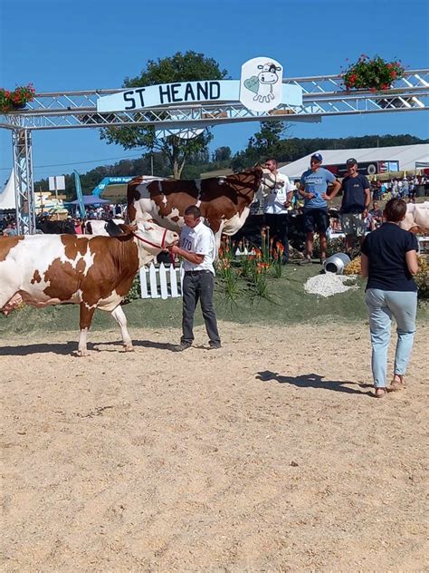 Saint Héand Les visiteurs au rendez vous lors de la première journée