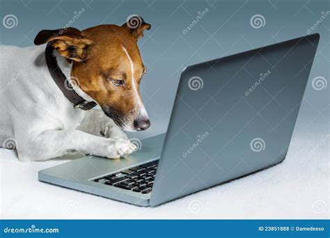 Dog Computer Royalty Free Stock Photos - Image: 23851888