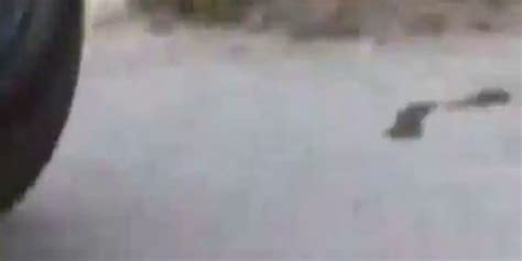 Big Booty Latina Taj Mendez Bounces That Phatty On Big Black Dick Tnaflix