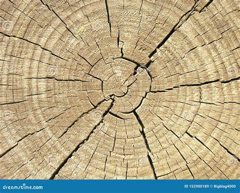 log textureclose  shot stock image image  texture