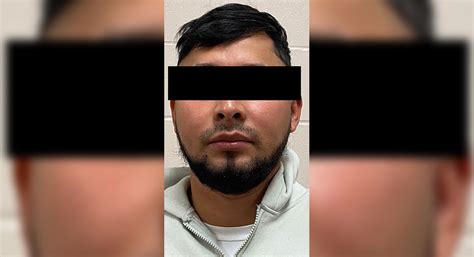 Border Patrol Agents Arrest Sex Offender Texas Border Business